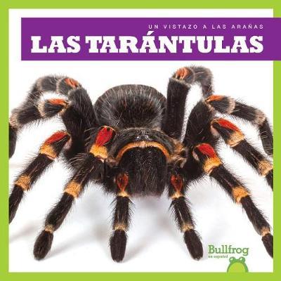 Las Tarantulas (Tarantulas) on Hardback by Kristine Spanier