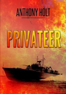 Privateer by Anthony Holt image