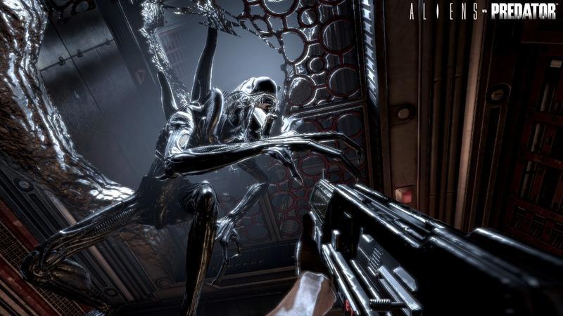 Aliens vs Predator Survivor Edition for PC Games image