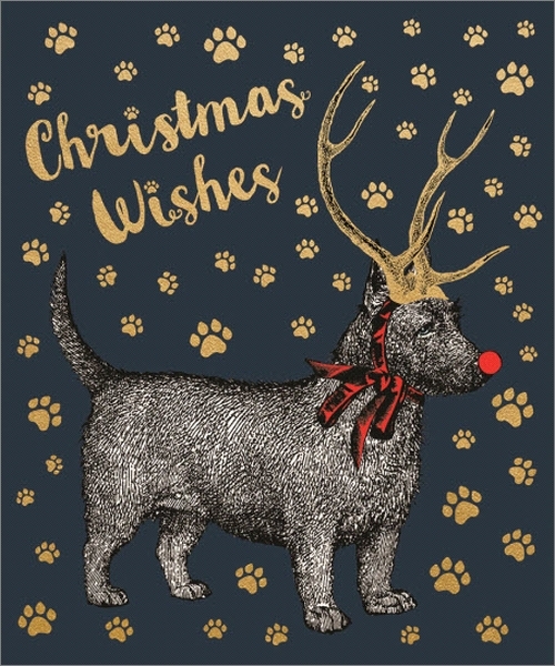 Chase & Wonder: Individual Christmas Card - Dog With Antlers image