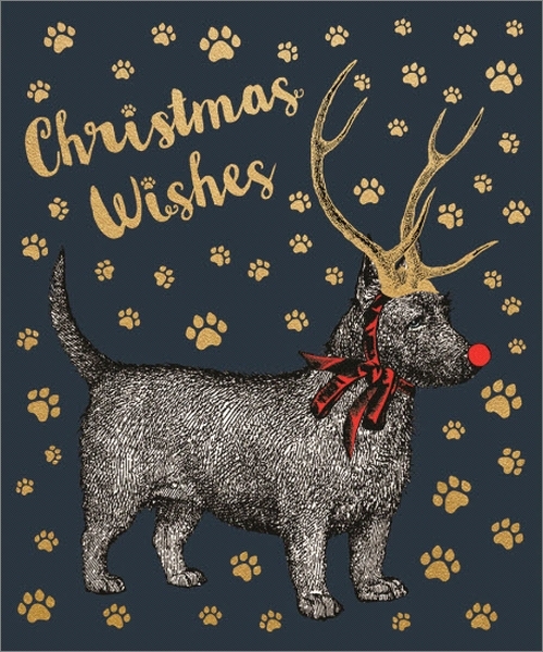 Chase & Wonder: Individual Christmas Card - Dog With Antlers image