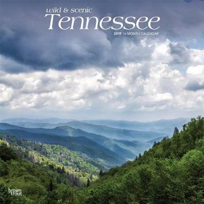 Tennessee Wild & Scenic 2019 Square by Inc Browntrout Publishers image