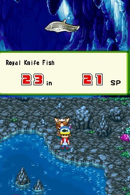 Harvest Fishing (AKA River King: Mystic Valley) on DS