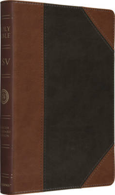 Holy Bible image