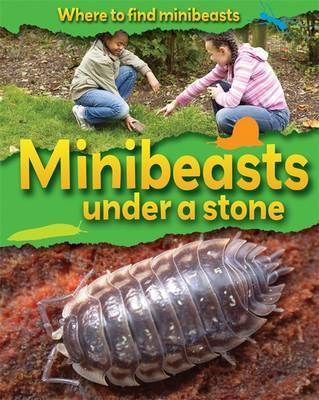 Where to Find Minibeasts: Minibeasts Under a Stone by Sarah Ridley image