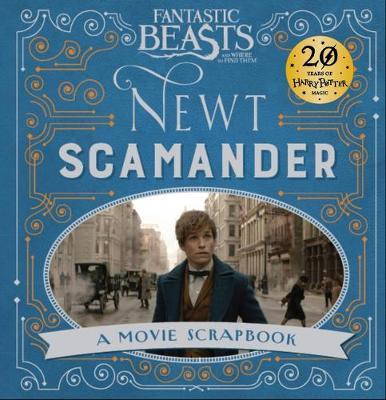 Fantastic Beasts and Where to Find Them - Newt Scamander by Warner Bros image