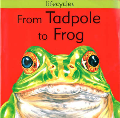 From Tadpole to Frog by David Stewart image