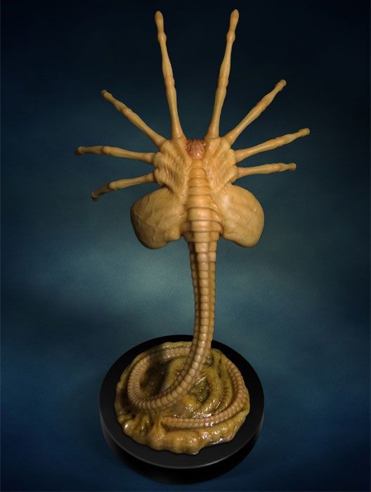 Alien Facehugger - 1:1 Life-Sized Replica image