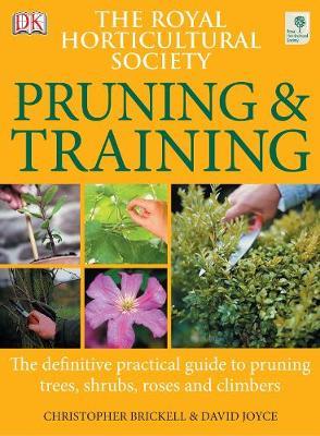 RHS Pruning and Training by David Joyce image