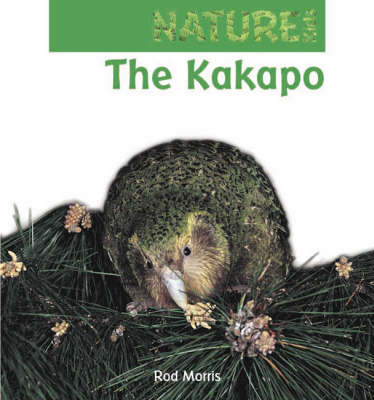 The Kakapo on Paperback by Rod Morris