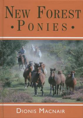 New Forest Ponies by Dionis Macnair image