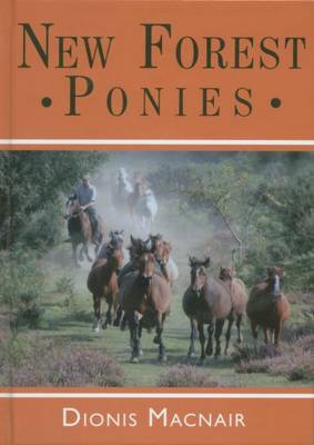 New Forest Ponies image