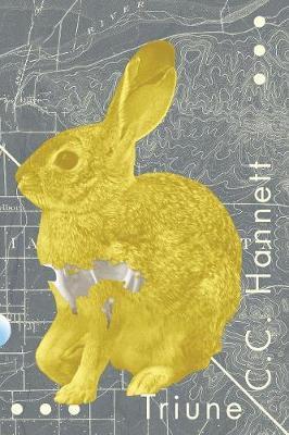Triune by C C Hannett image