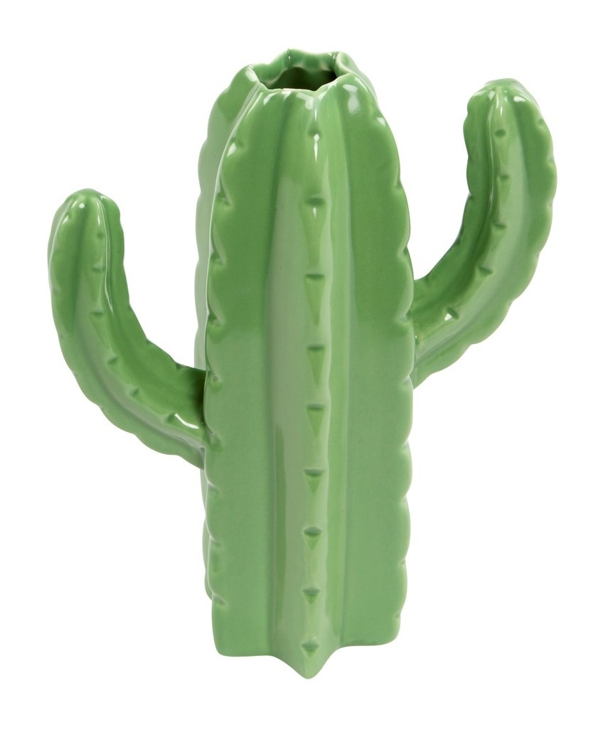 Cactus Shaped - Decorative Vase image