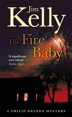 The Fire Baby by Jim Kelly image