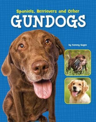 Spaniels, Retrievers and Other Gundogs image