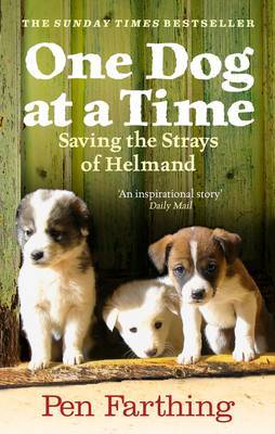 One Dog at a Time by Pen Farthing image