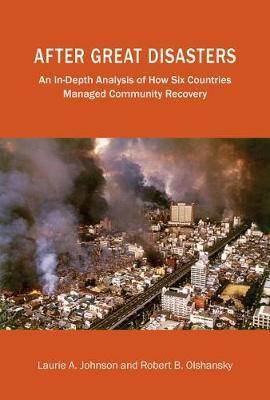 After Great Disasters by Laurie A Johnson image