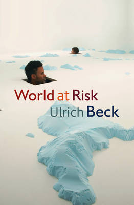 World at Risk by Ulrich Beck image
