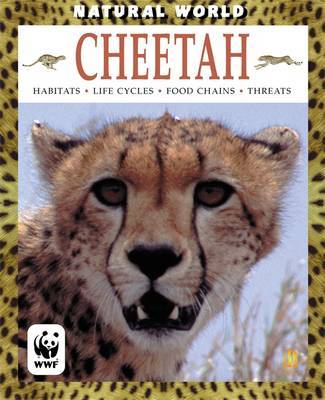 Cheetah by Anna Claybourne image