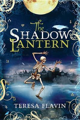 The Shadow Lantern by Teresa Flavin image