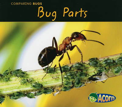 Bug Parts by Charlotte Guillain image