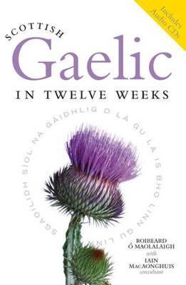 Scottish Gaelic in Twelve Weeks by Iain MacAonghuis image