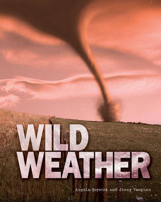 Great Big Book of Wild Weather by Angela Royston image
