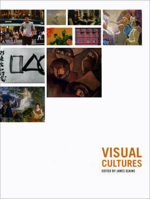 Visual Cultures by James Elkins