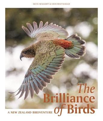 The Brilliance of Birds by Skye Wishart image