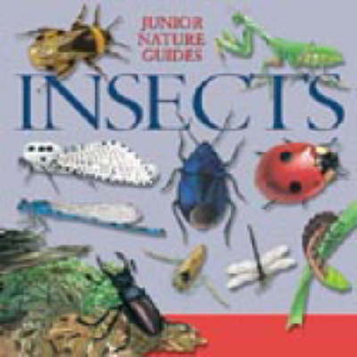 JR NATURE GUIDES INSECTS image