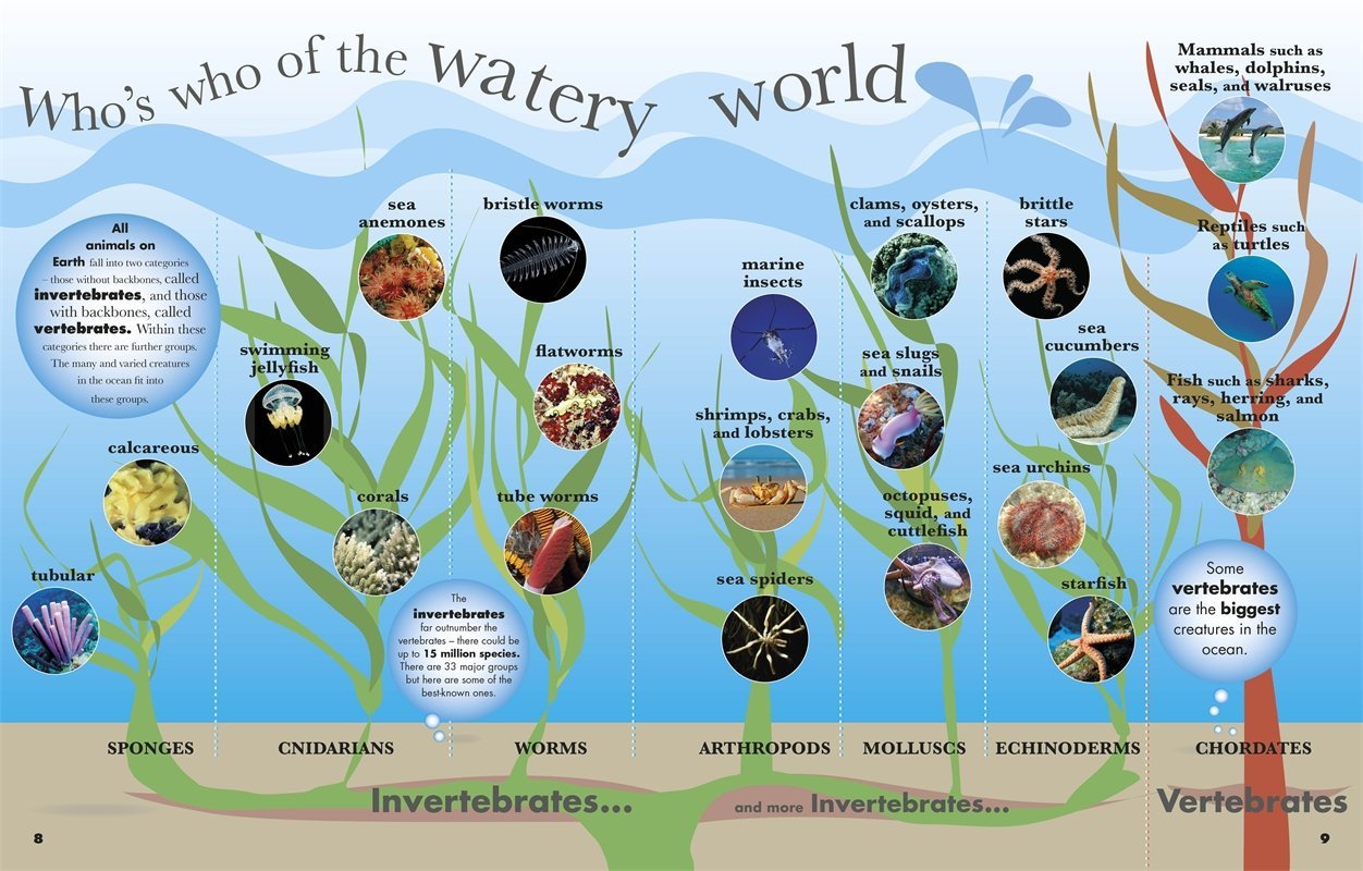 Everything You Need to Know about Sharks: And Other Creatures of the Deep by DK Publishing image