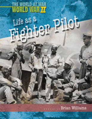 Life as a Fighter Pilot by Brian Williams image