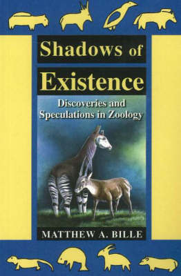 Shadows of Existence by Matthew A. Bille image