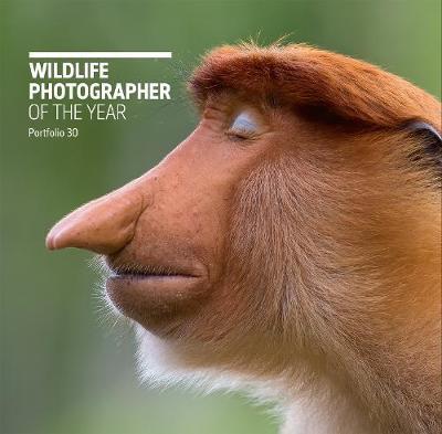 Wildlife Photographer of the Year: Portfolio 30, Volume 30 image