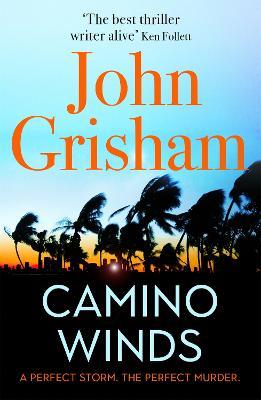 Camino Winds by John Grisham image