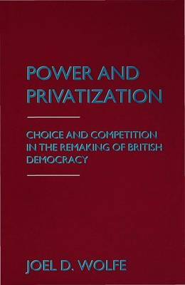 Power and Privatization image