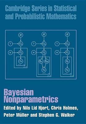 Cambridge Series in Statistical and Probabilistic Mathematics: Series Number 28 image
