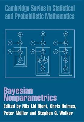 Bayesian Nonparametrics image