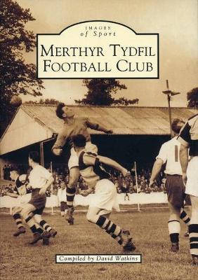 Merthyr Tydfil Football Club by David Watkins image