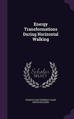 Energy Transformations During Horizontal Walking by Francis Gano Benedict image