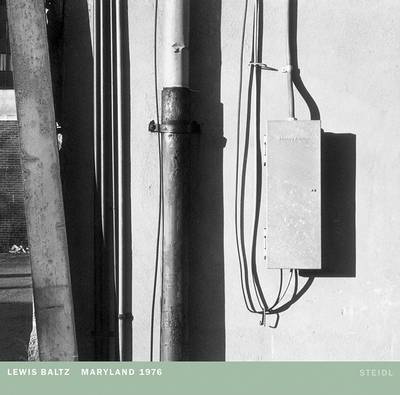 Lewis Baltz by Lewis Baltz image
