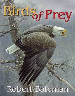 Birds of Prey by Robert Bateman image