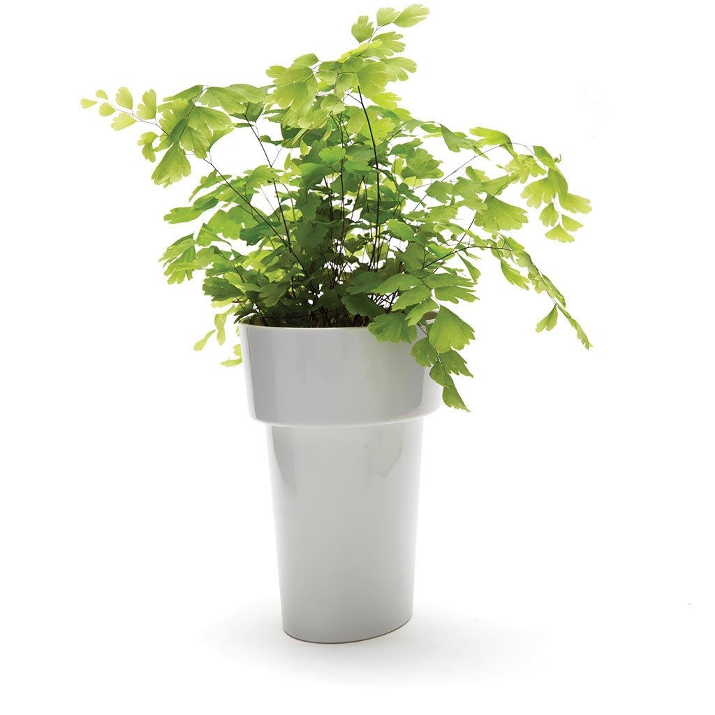 Monkey Business: Slim Flower Pot (Grey) image