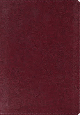 ESV Large Print Bible image