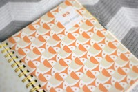 orla kiely baby journal