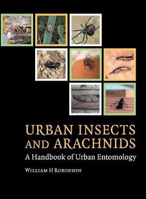 Urban Insects and Arachnids by William H Robinson image