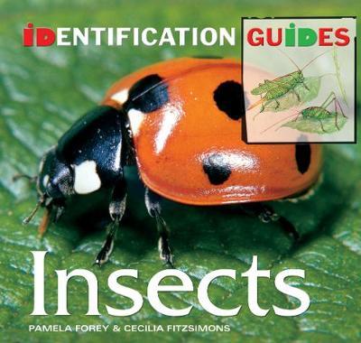 Insects by Cecilia Fitzsimons image