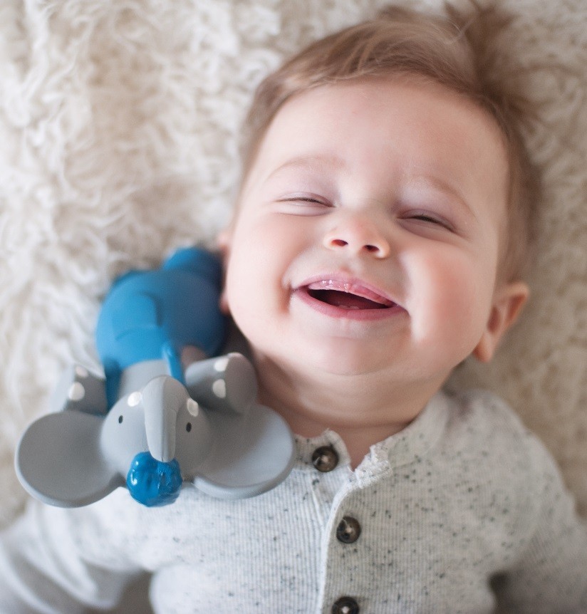 Meiya & Alvin: Alvin the Elephant - Rubber Squeaker image