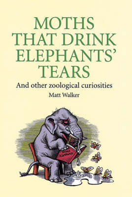 Moths That Drink Elephants' Tears: And Other Zoological Curiosities by Matt Walker image